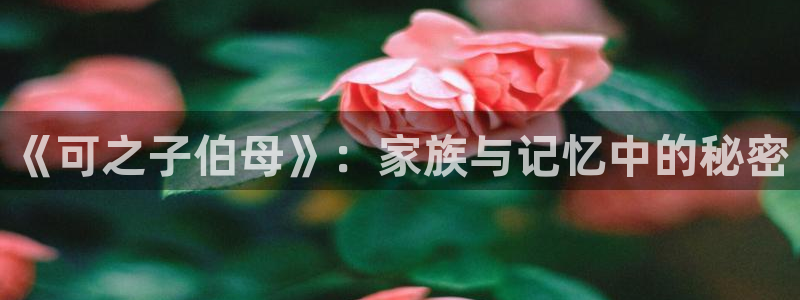 拷贝漫画安装包：《可之子伯母》：家族与记忆中的秘密